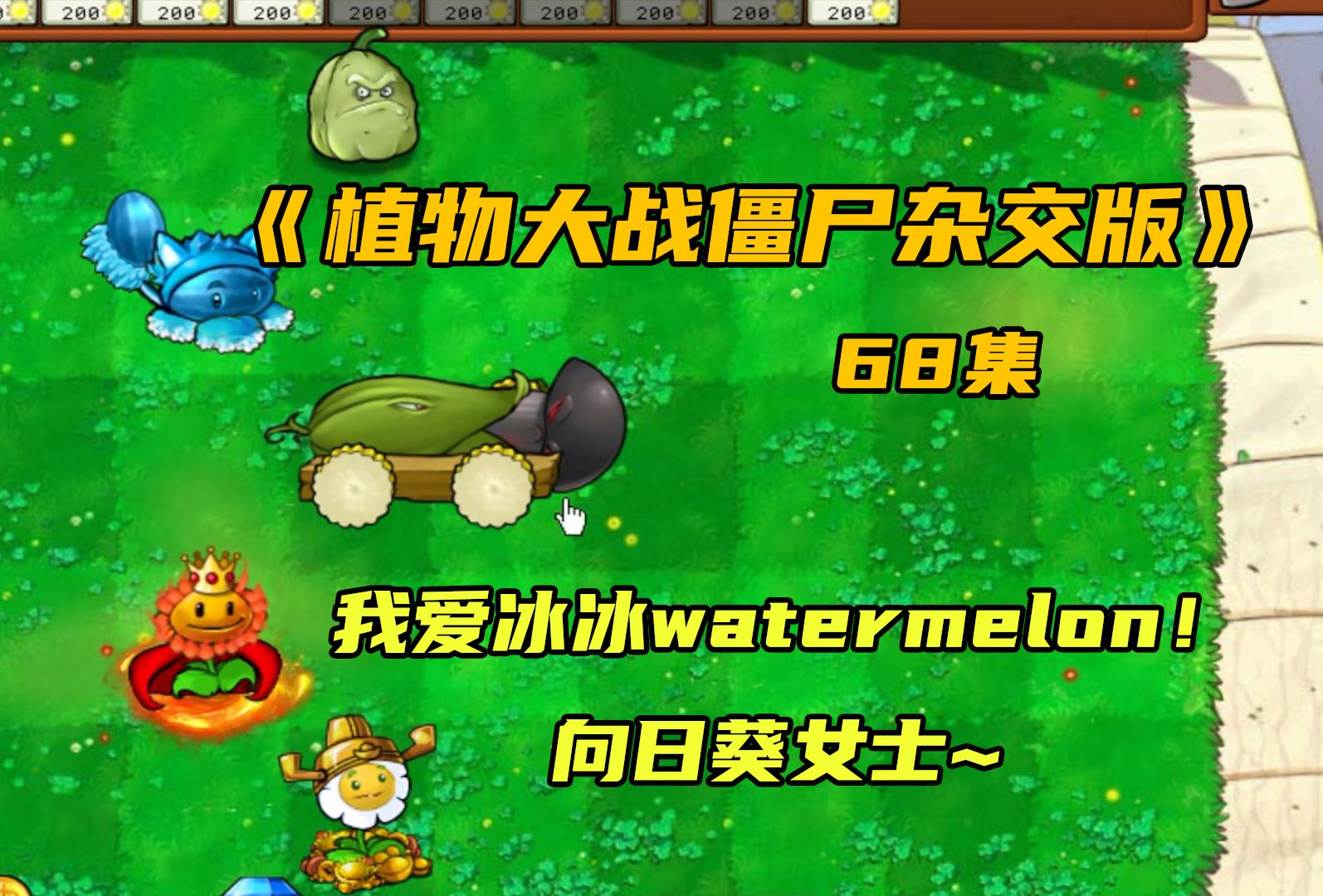 金坑模式得这么玩!你们就学吧!