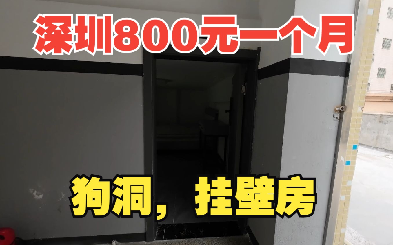 在深圳20多一天的挂壁房,还不如狗洞?劝你们还是别来深圳了吧哔哩哔哩bilibili