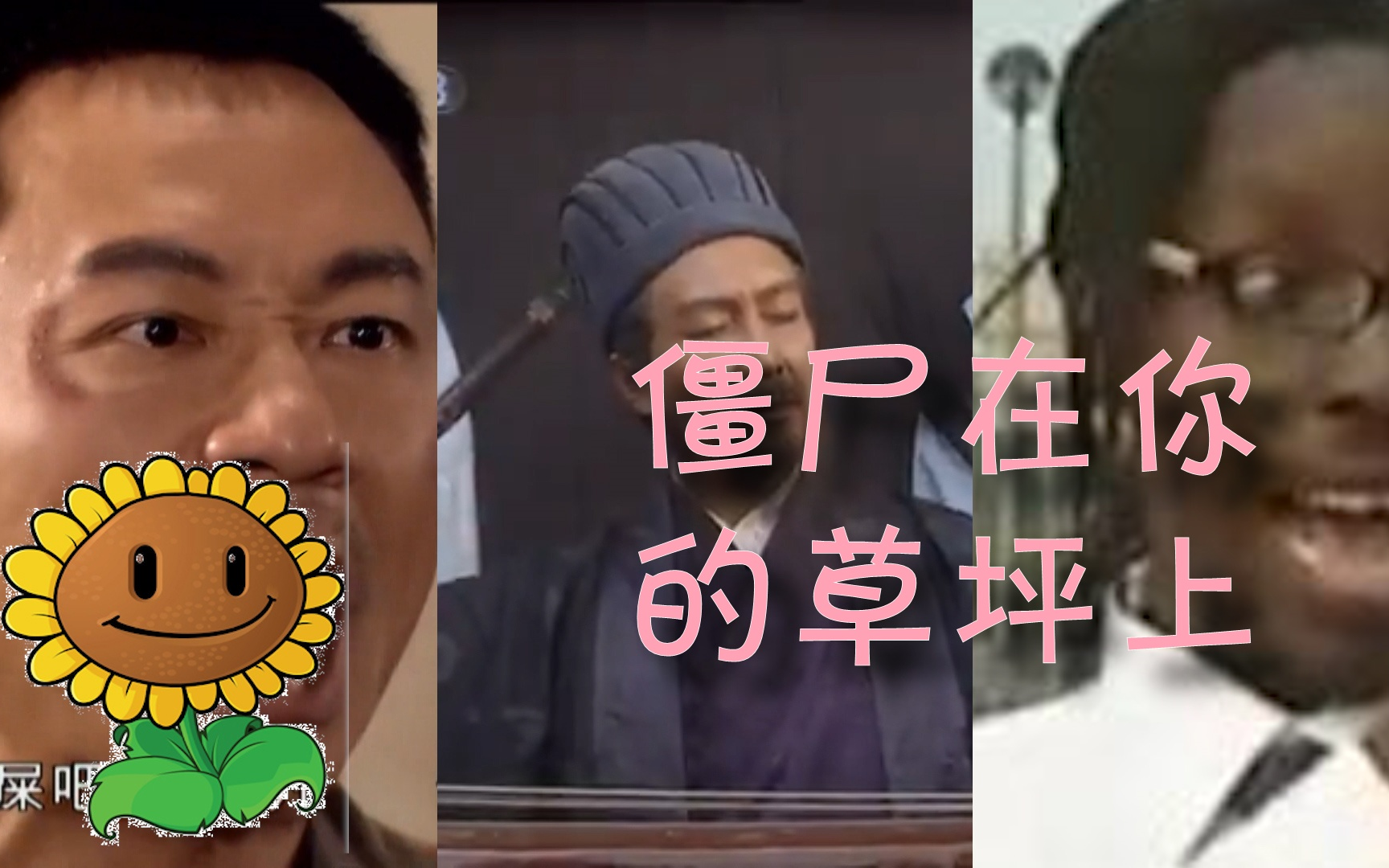 【多明星】【庆十周年】僵尸在你的草坪上_哔哩哔哩 (゜-゜)つロ 干杯