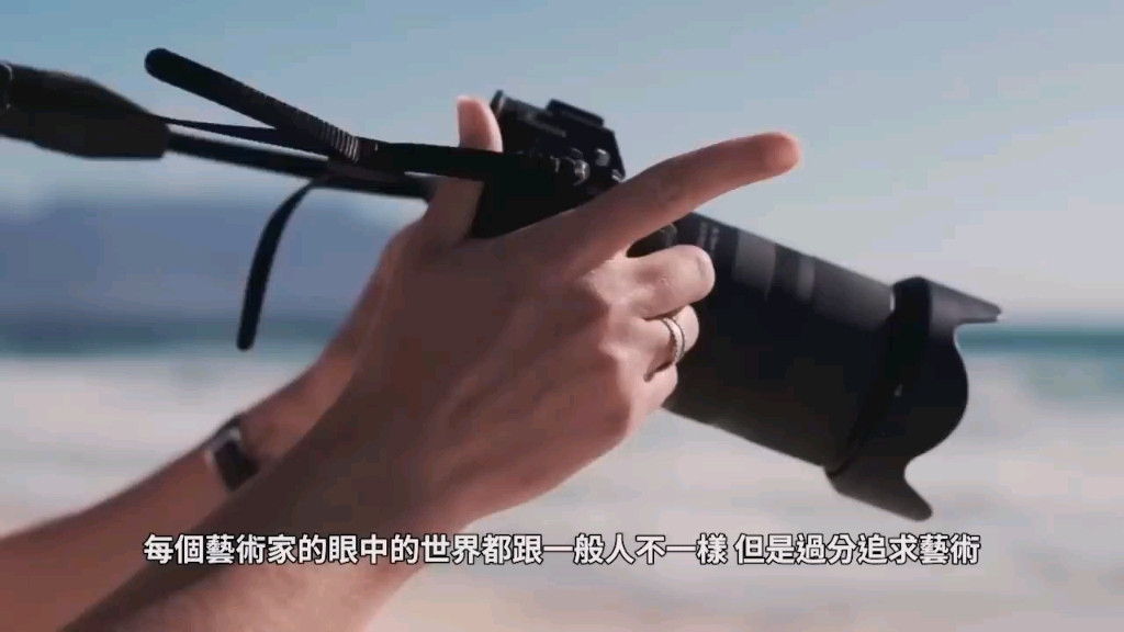 奇怪的仙人掌 41