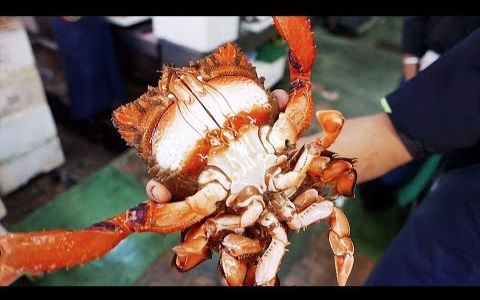 日本街头美食难吃的一逼的蛙形蟹