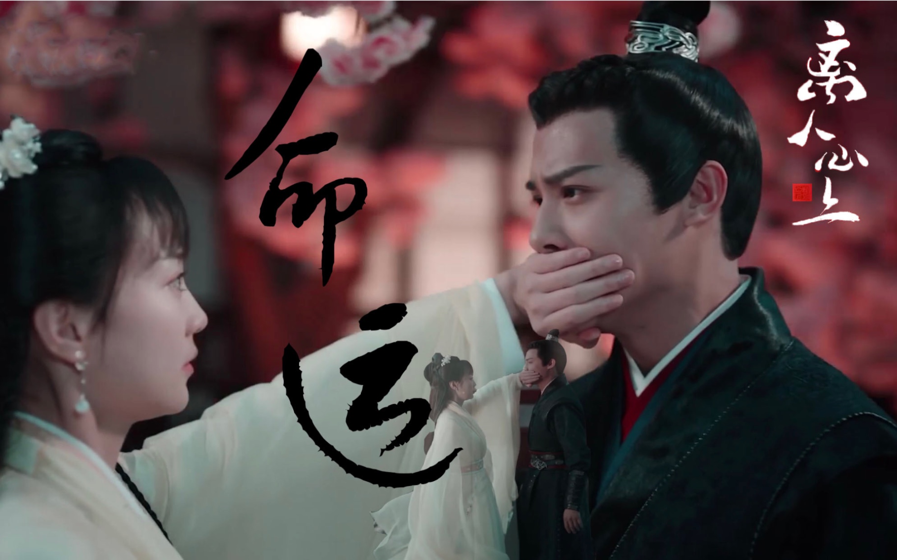 离人心上命运薛曜徐初月郑业成胡意旋甜虐向