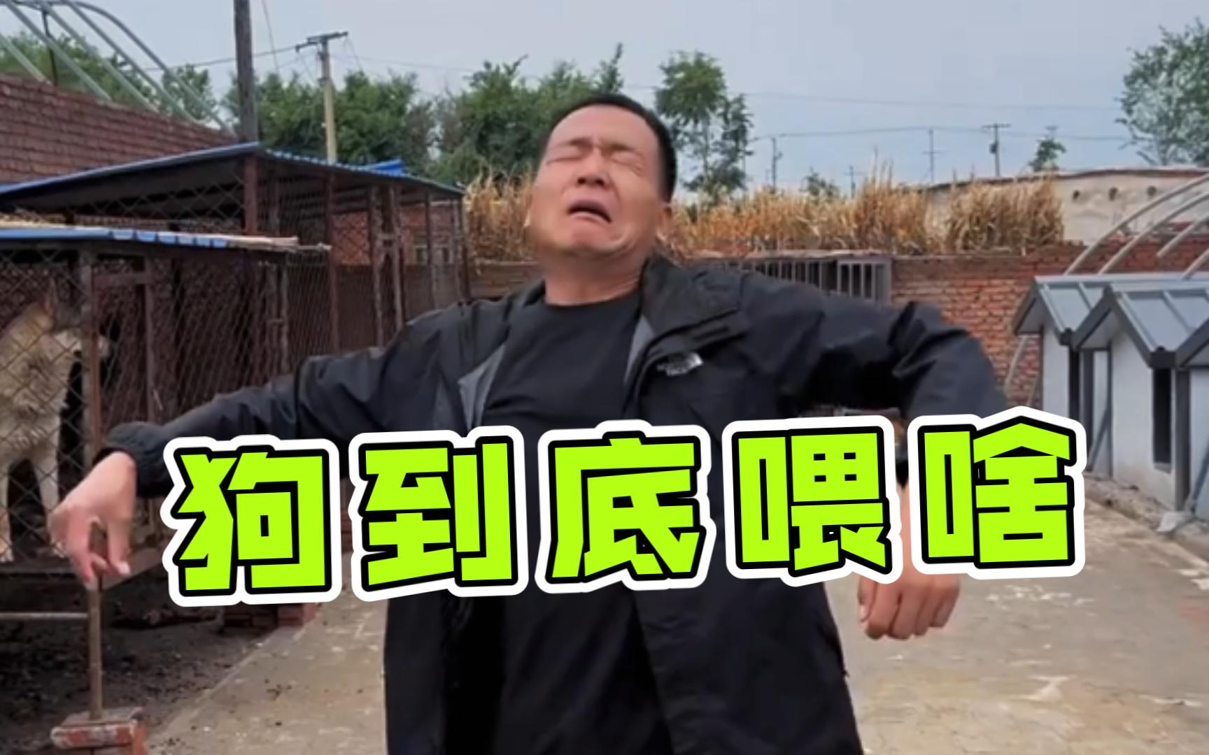 潘宏告诉你狗到底喂啥!!-潘宏爱玩狗--潘宏爱玩狗--哔哩哔哩视频
