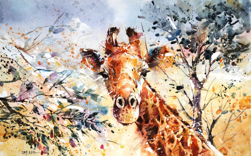 【长颈鹿】我们仍未知道它的脖子为何这么长,但它却已濒危