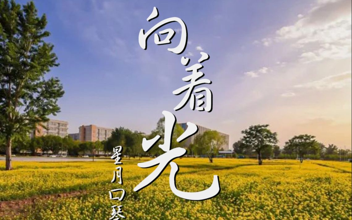 【口琴】光へ(佐贺ed) ——北航毕业纪念,希望大家都有光明的未来