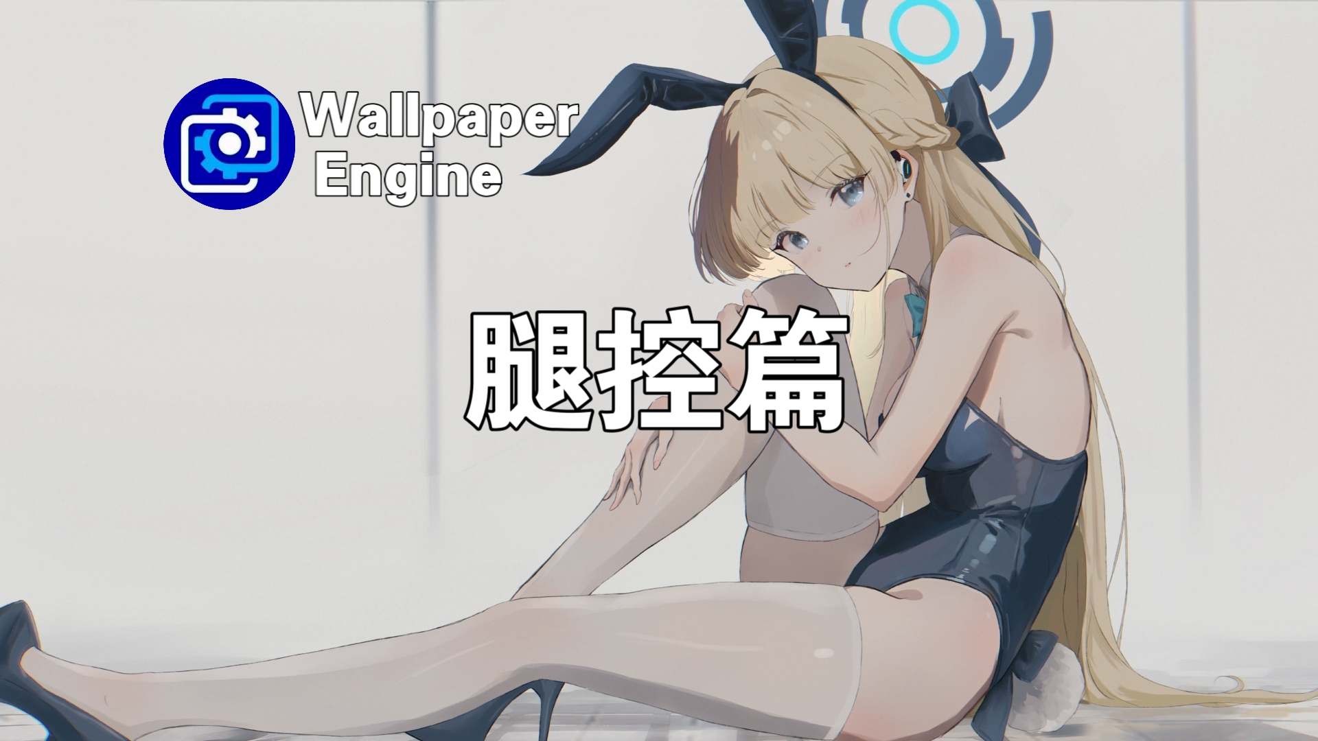 【wallpaper engine】壁纸推荐 腿控篇