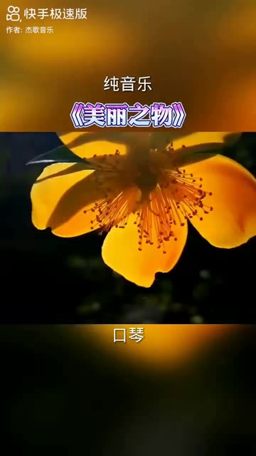 金曲 天籁之音 经典歌曲 世界名曲 背景音乐 治愈音乐 钢琴曲 宝藏音乐珍藏版哔哩哔哩bilibili