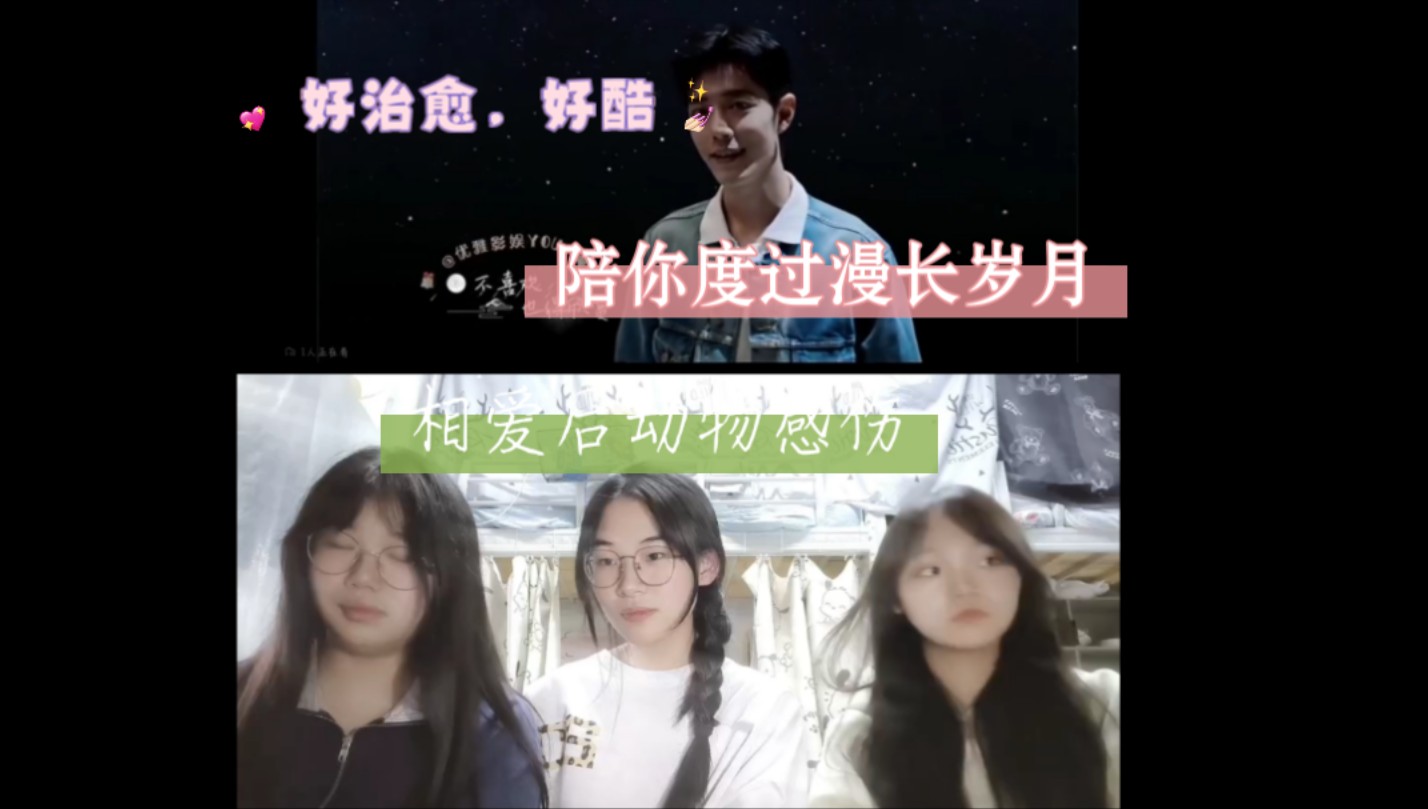 【肖战舞台reaction】陪你度过漫长岁月,相爱后动物感伤