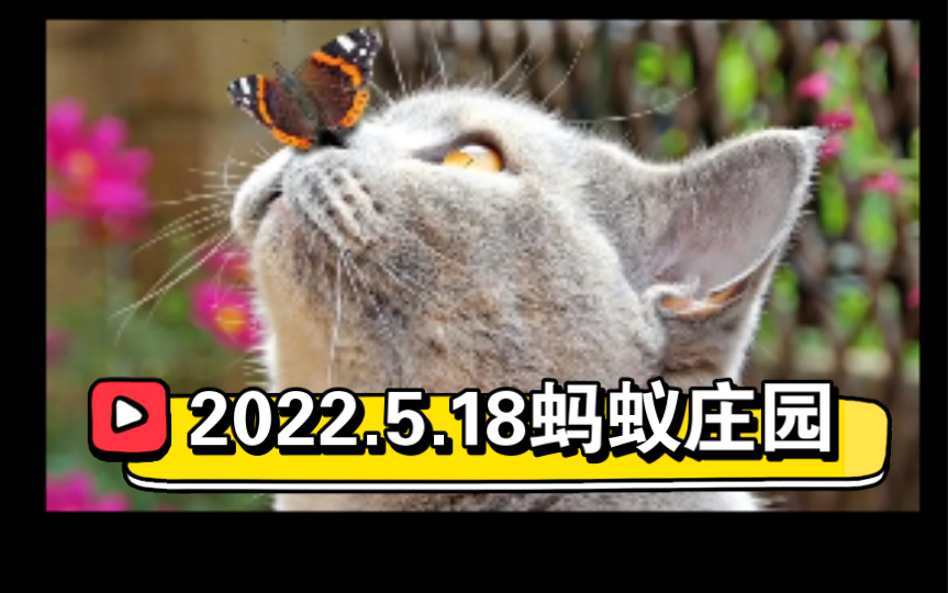 [图]2022.5.18蚂蚁庄园 在古代，“孔方兄”是哪种物品的代称？