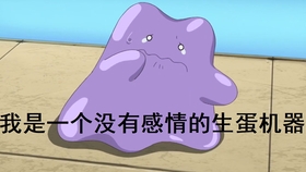 怪力搬家公司ポケモンマークの引越し屋さん ゴーリキー引越社 Cm 哔哩哔哩 つロ干杯 Bilibili