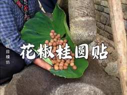 Descargar video: 花椒、桂圆、艾绒、蜜蜂，这老一辈人流下来的搭配！#花椒桂圆贴#记录农村生活