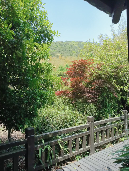 活动作品苏州旺山生态园202151