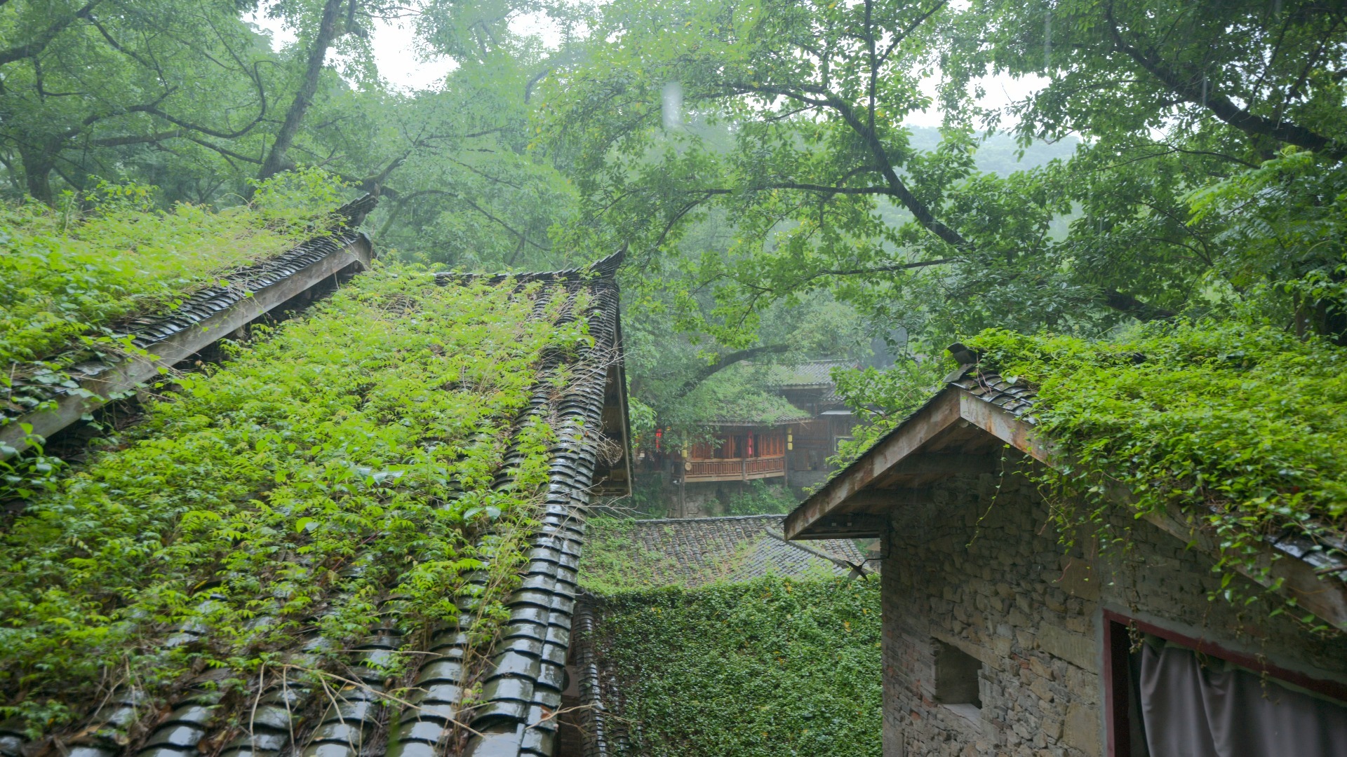 【8K】美丽的雨中古村秘境超级治愈解压｜重庆金刚碑沉浸式走拍