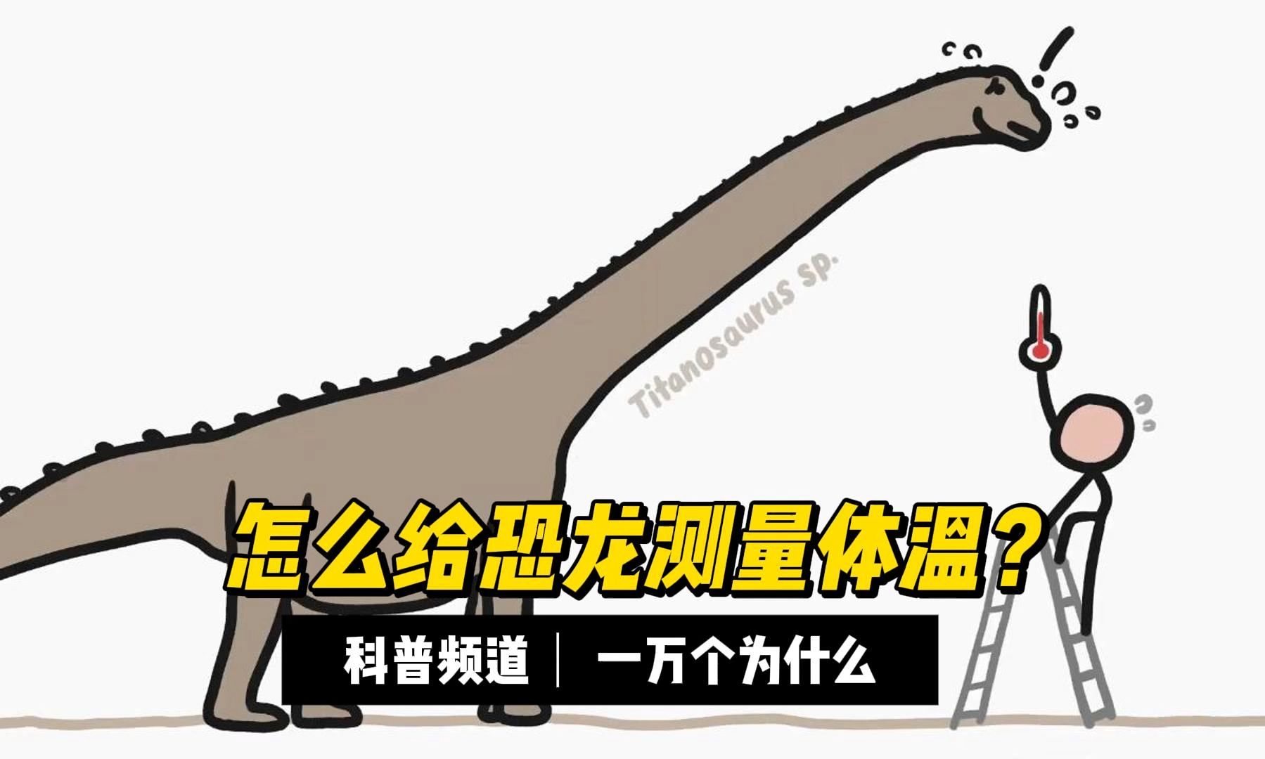 我们该如何给恐龙测量体温呢？