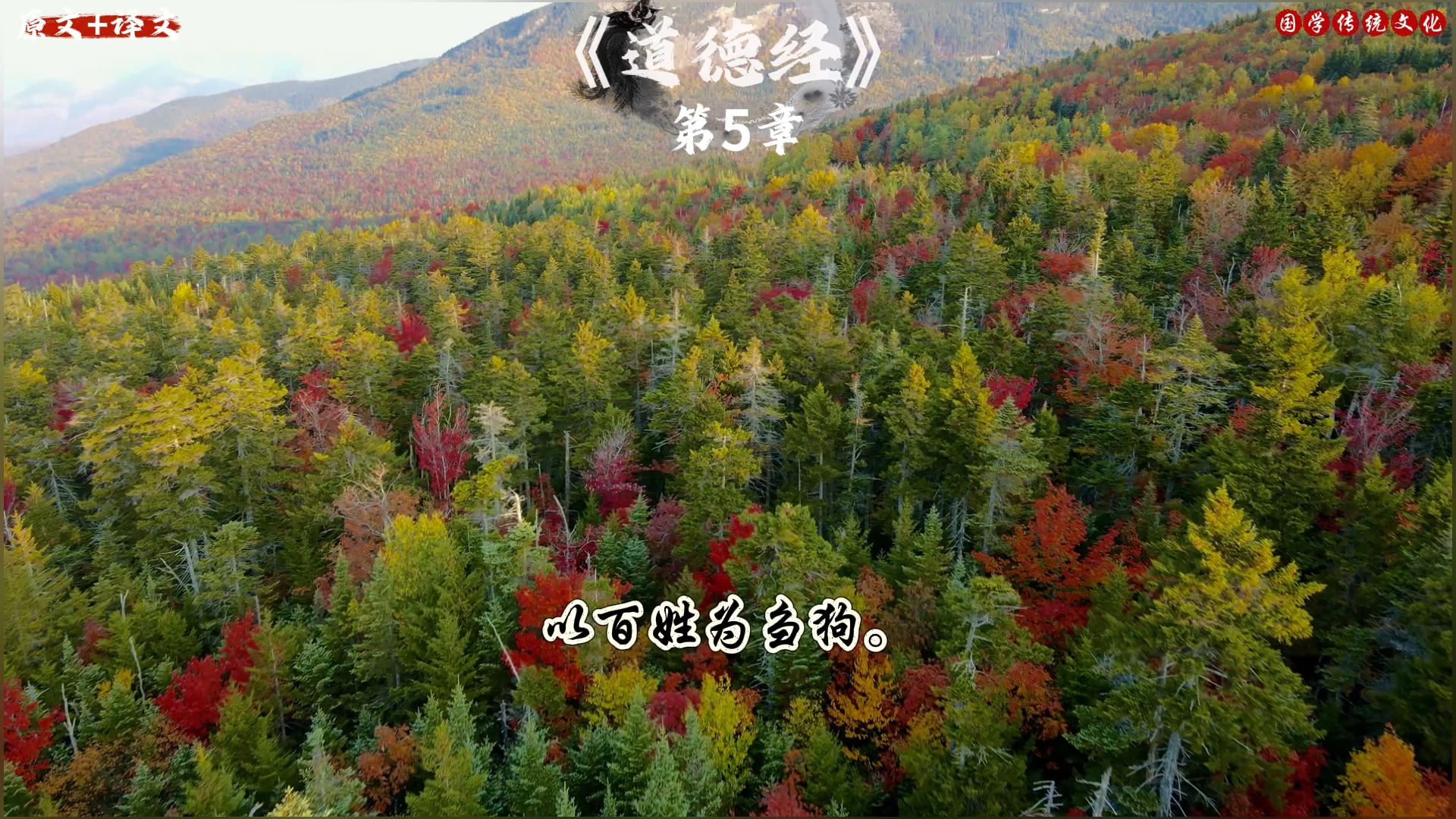 老子《道德经》 【第5章原文】 天地不仁,以万物为刍狗;圣人不仁,以百姓为刍狗.天地之间,其犹橐龠乎!虚而不屈,动而愈出.多言数穷,不如守中....