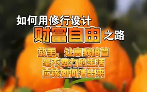 Download Video: 如何用修行的思路设计“财富自由”之路，放手让高我接管是什么都不做吗