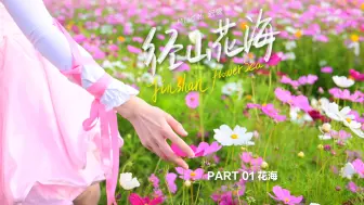 Descargar video: 径山花海 PART01 花海（2024.5.12）