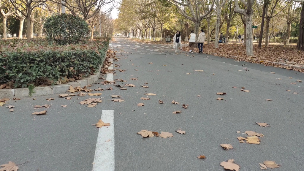 【山东科技大学】在享受校易行电动车带来快乐的同时 记录一下在学校的最后一个秋天哔哩哔哩bilibili