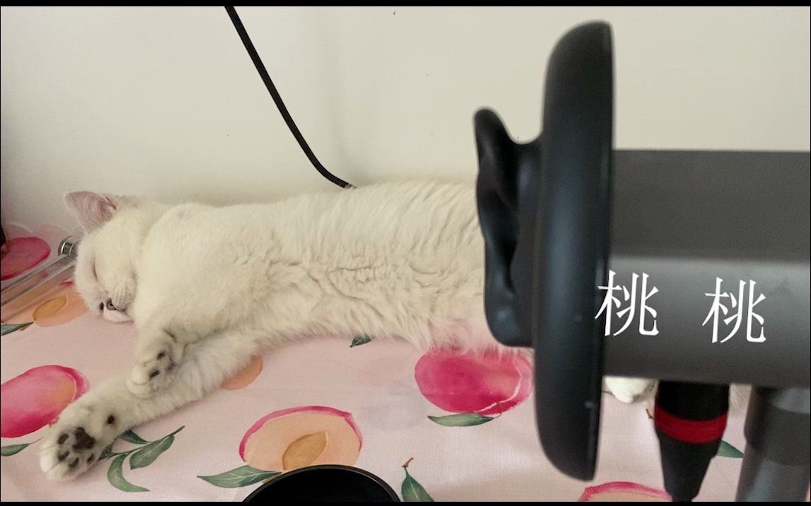 桃緀枕边女友助眠超舒服哄睡酥麻敲击音空灵钵