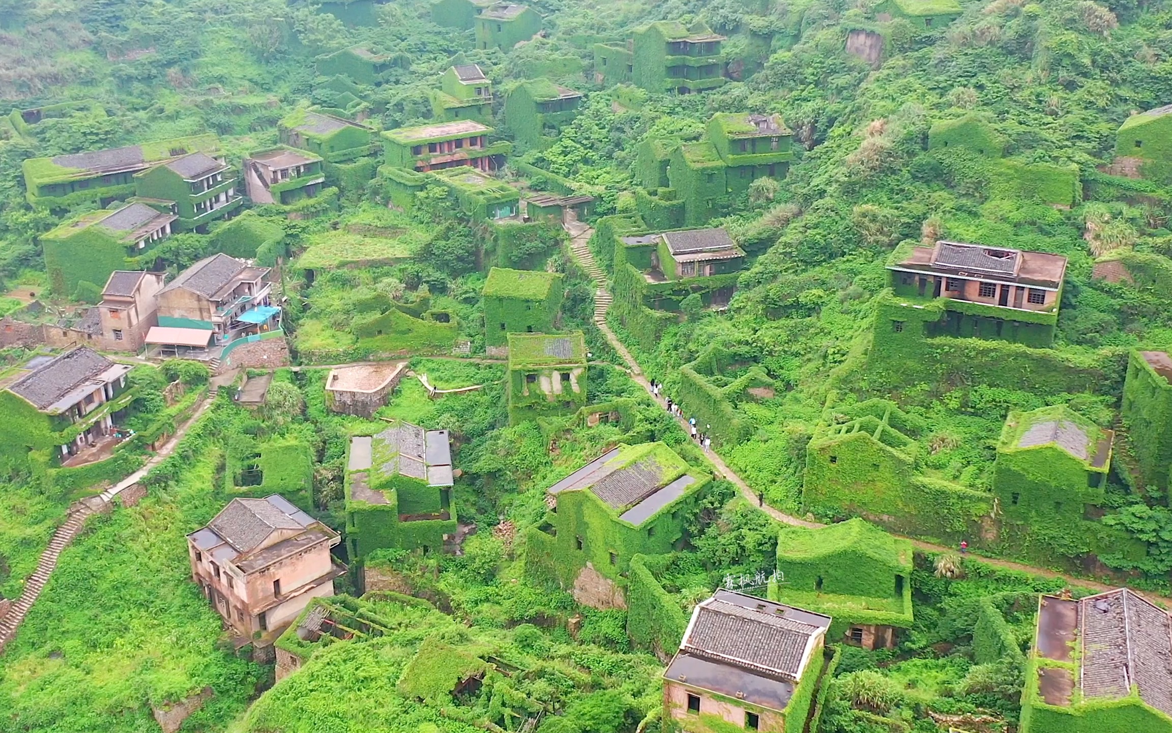 浙江舟山无人村,100多套海景房无人居住,现实版的绿野仙踪!