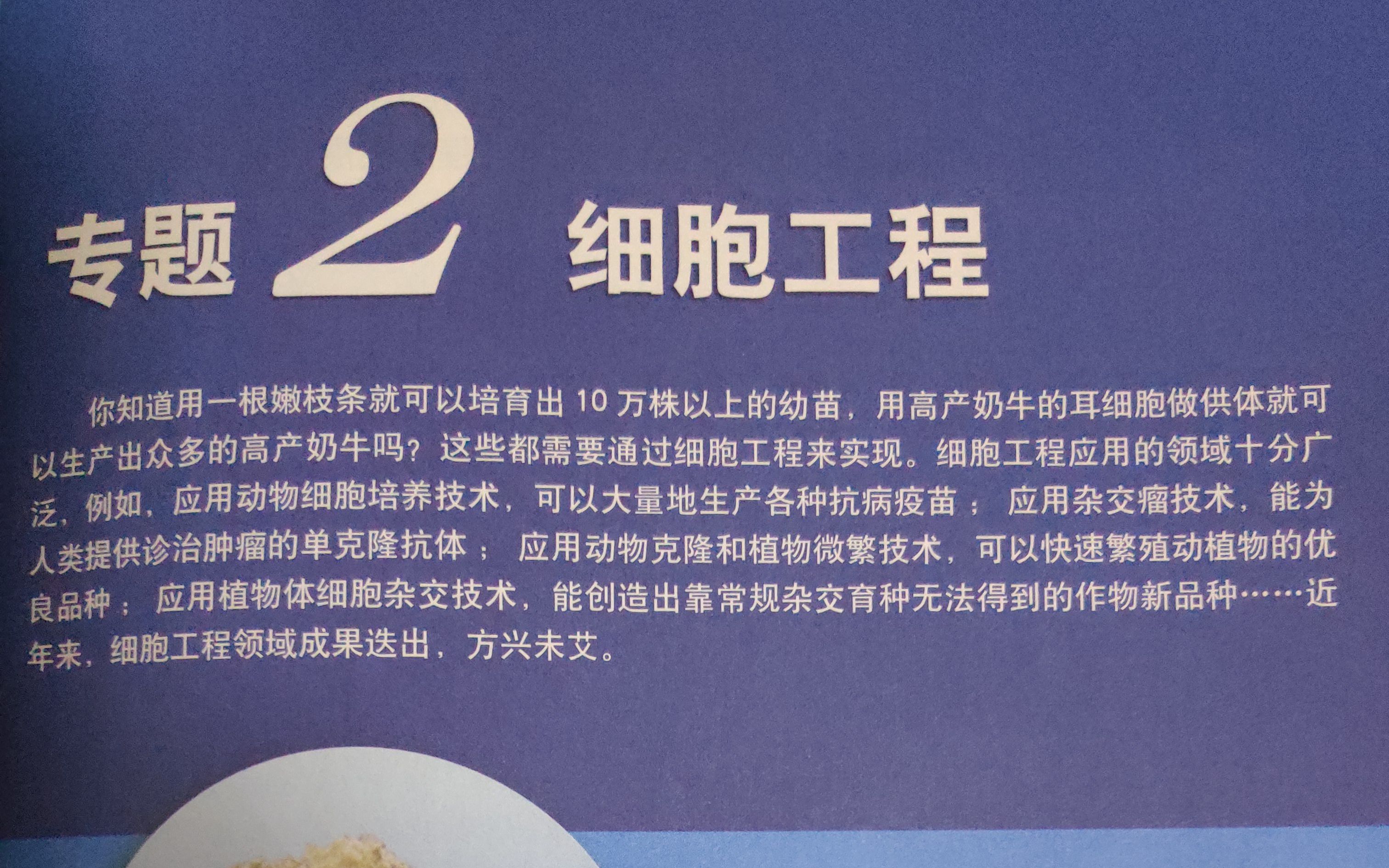 专题二 动物细胞工程之核移植技术和克隆动物哔哩哔哩bilibili