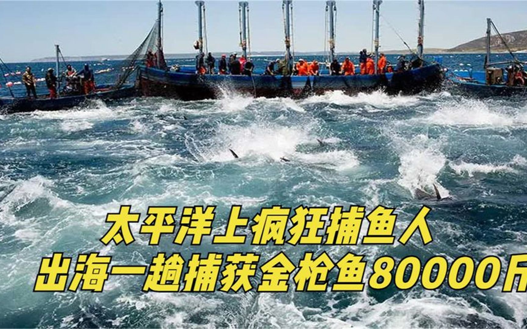 深海远洋大型捕鱼船,出海一趟有多赚钱?印钞机看了都自愧不如