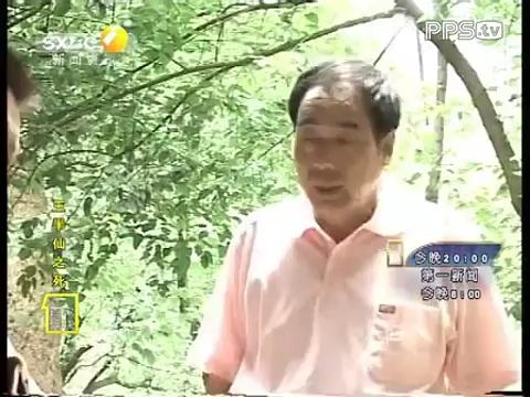 百家碎戏《王半仙之死》