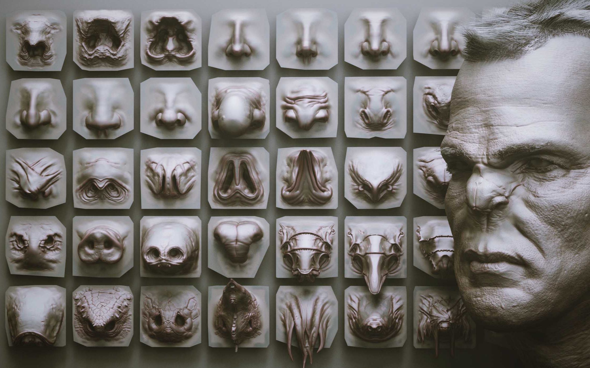 【教学 zb笔刷免费下载】66个zbrusha生物怪物人物角色鼻子笔刷zbp