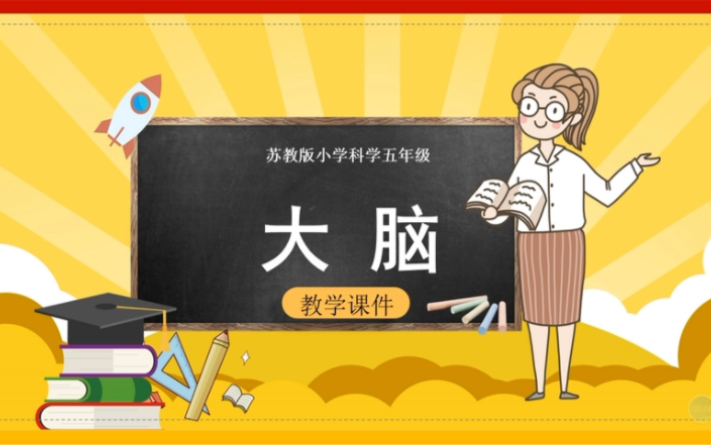 我们的大脑——五年级科学微课哔哩哔哩bilibili