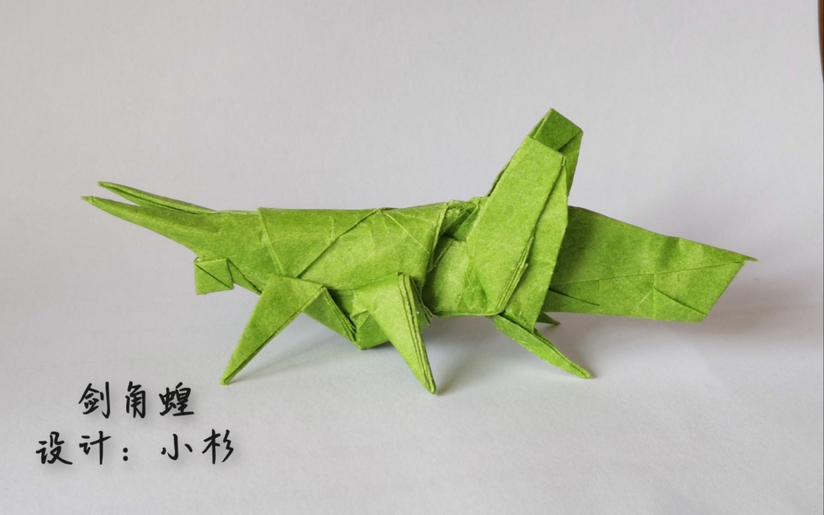 【折纸】学习子游君大佬的基本型设计方法,做一只蝗虫