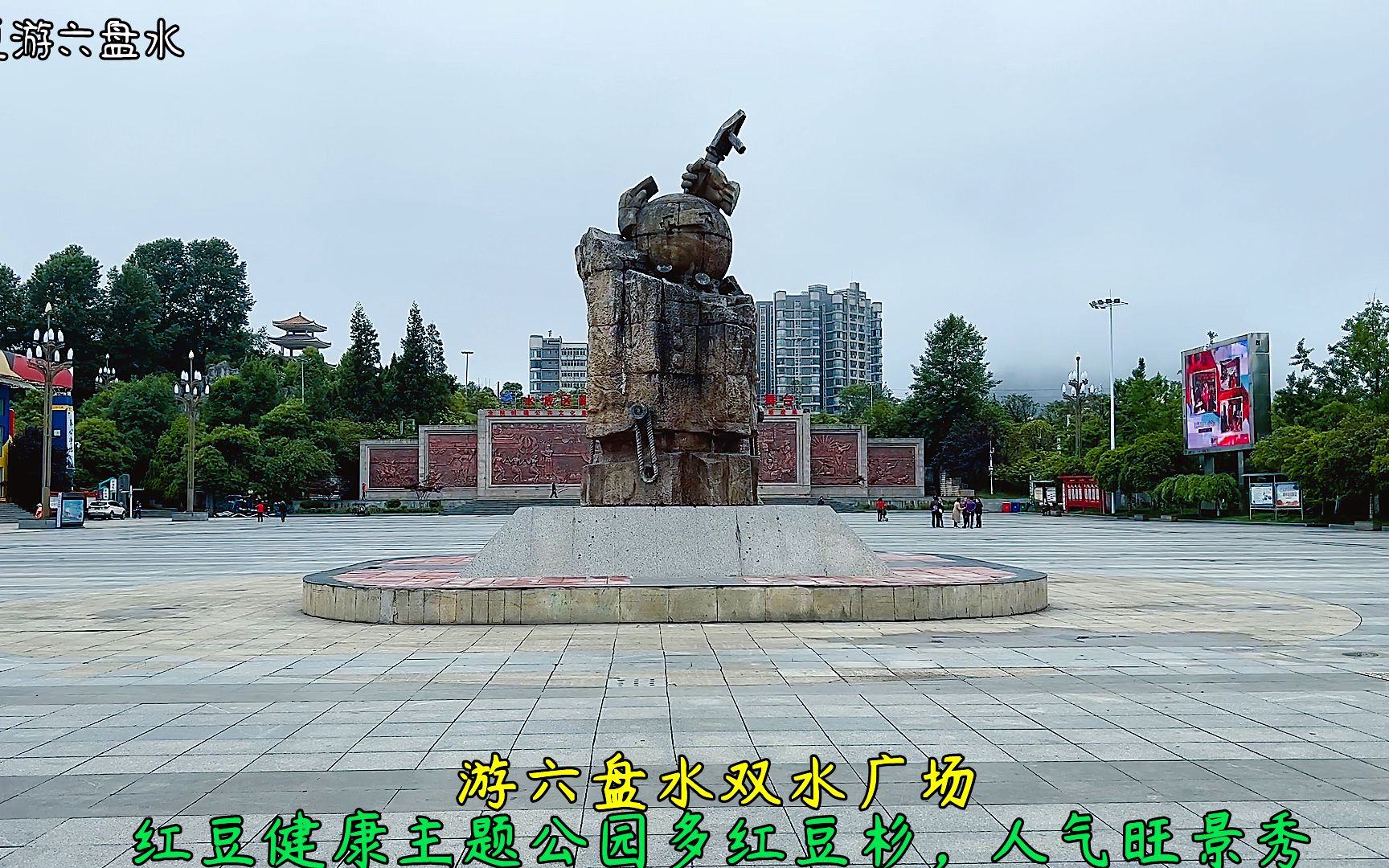 游贵州六盘水市双水广场红豆健康主题公园多红豆杉人气旺景秀