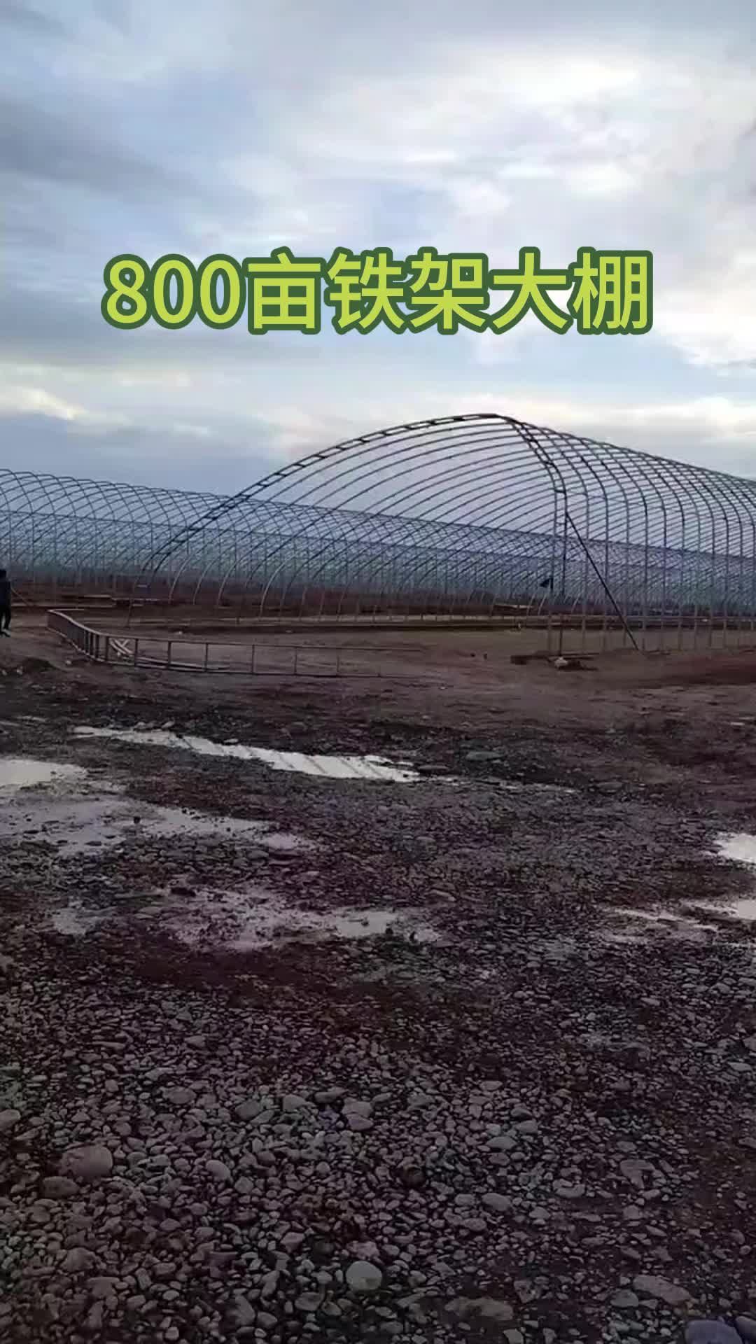 天津大棚厂家提供温室、钢架、蔬菜和养殖大棚搭建服务;供应优质大棚管,经验丰富,品质可靠,可按需定制.哔哩哔哩bilibili