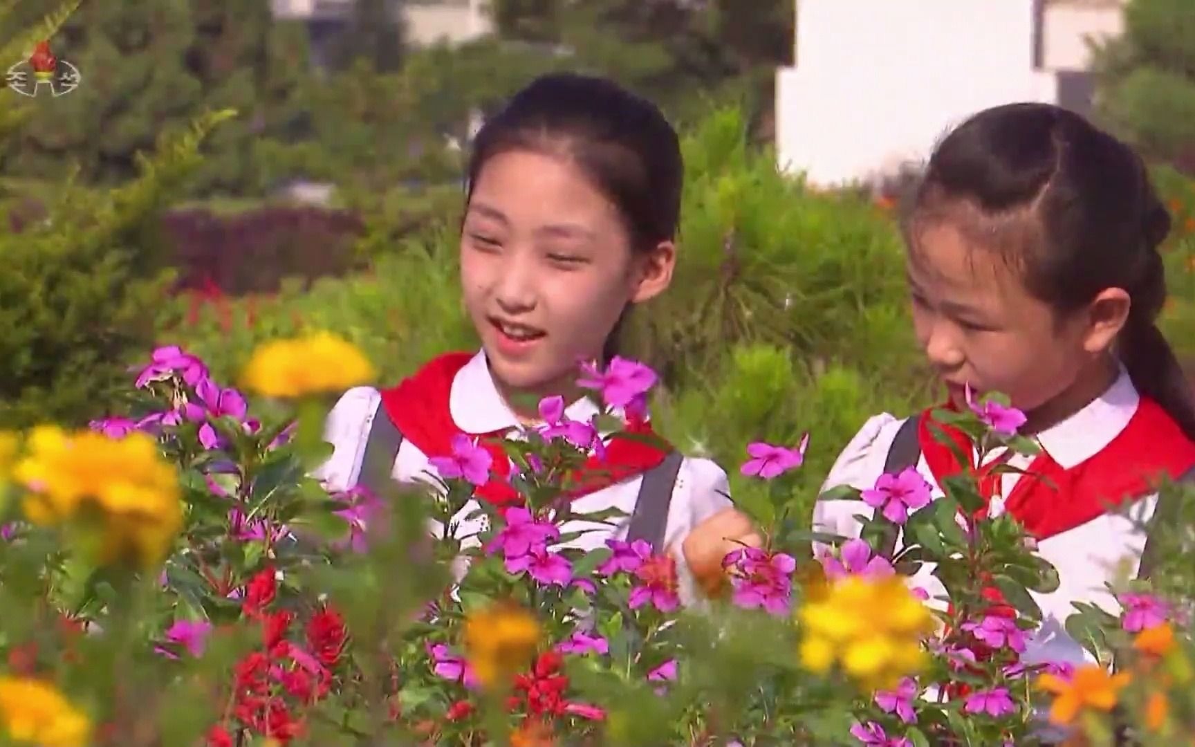 [图]朝鲜名歌：祖国的怀抱（大同江区纹绣小学金丽英 吴日香）