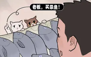 Download Video: 猫：老板，我这么可爱，可不可以买条鱼？