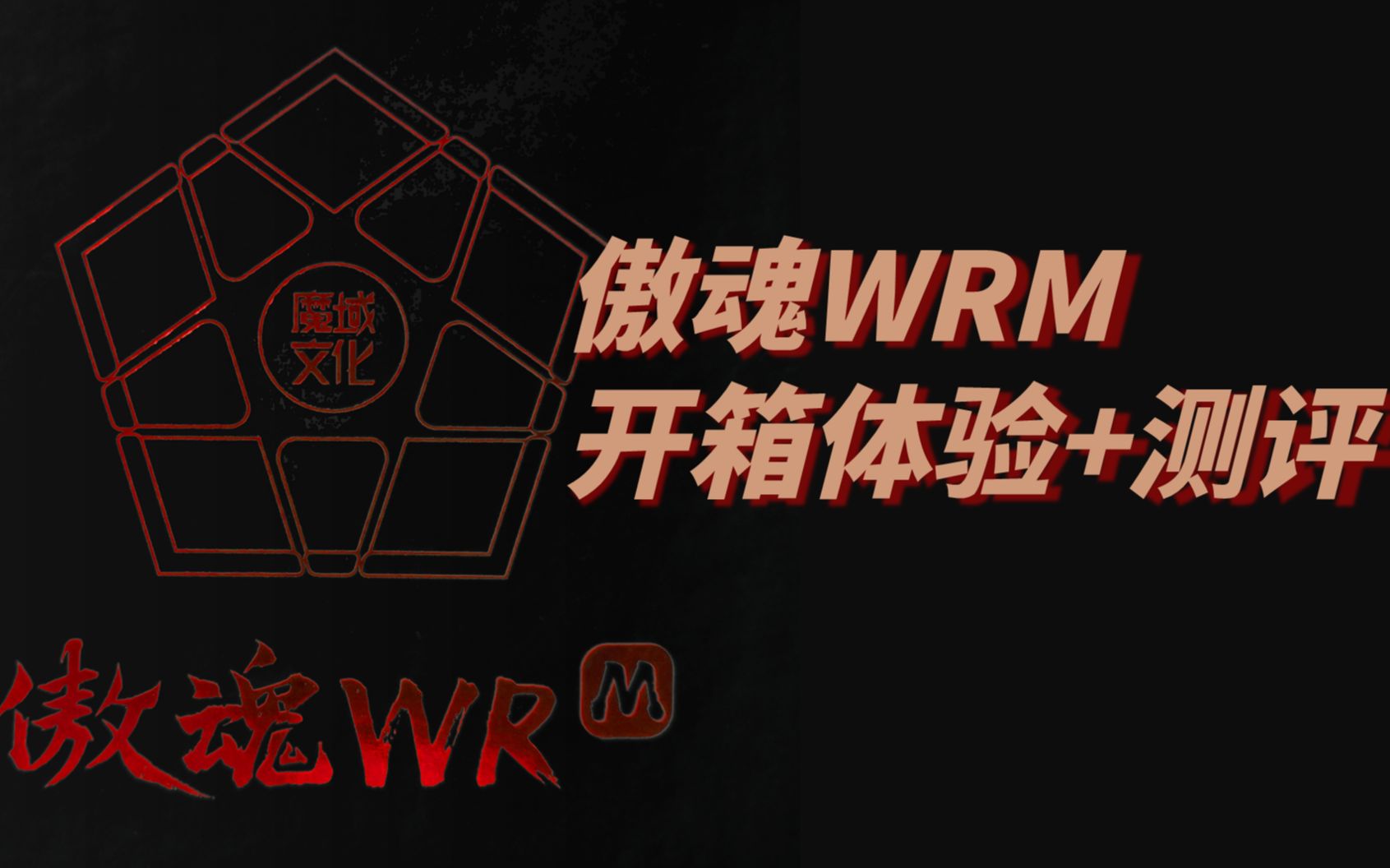 【魔方测评】傲魂WRM上手初评哔哩哔哩bilibili