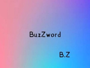 《BuzZword》B.Z哔哩哔哩bilibili