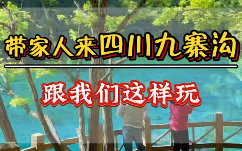 带家人来四川九寨沟这样玩,省心省力又省米哔哩哔哩bilibili