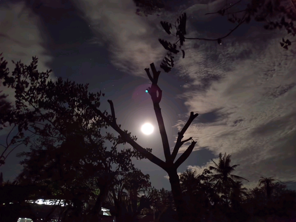 农村的夜晚多少参些童年的回忆