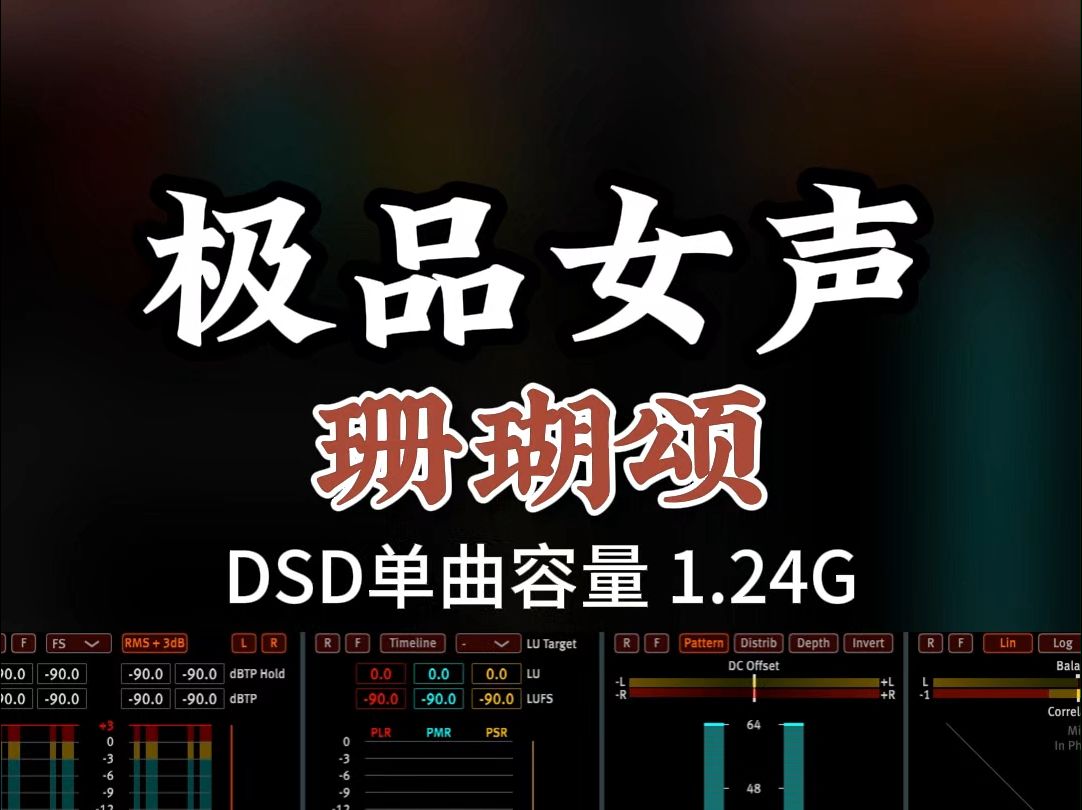 经典老歌新唱,极品发烧女声,《珊瑚颂》DSD完整版1.24G,百万调音师专业录音棚制作,顶级hifi无损音质哔哩哔哩bilibili