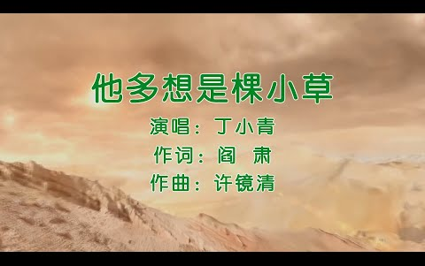 他多想是棵小草 - 丁小青