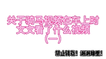 【文轩】硬核分析贴:关于今天刘文发的骑马视频,在车上时他看了什么视频?哔哩哔哩bilibili