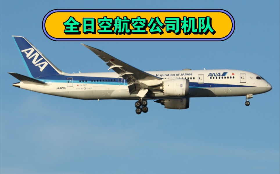 世界上最大的波音787机队全日空航空机队盘点哔哩哔哩bilibili