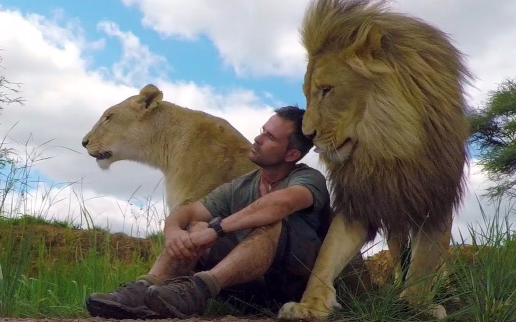 人狮不了情狮语者