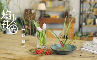 云龙柳 搜索结果 哔哩哔哩 Bilibili