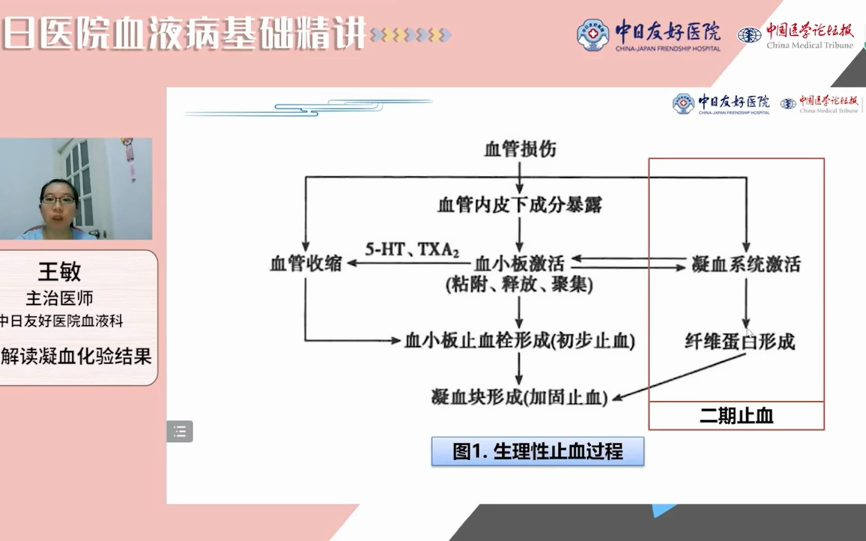 [图]血液：凝血化验结果解读