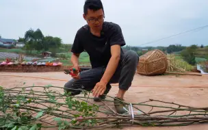 有个小院，期待开满鲜花，阿波做一道椒香猪蹄，外酥里嫩，真解馋