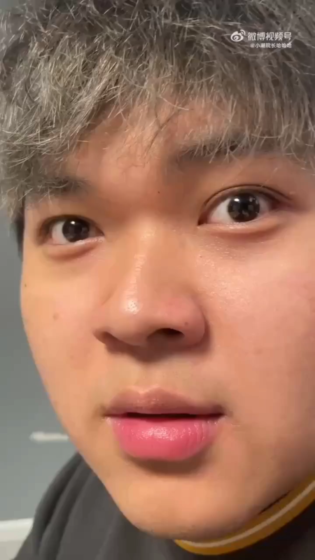 小潮team生物百科海皇(好可爱