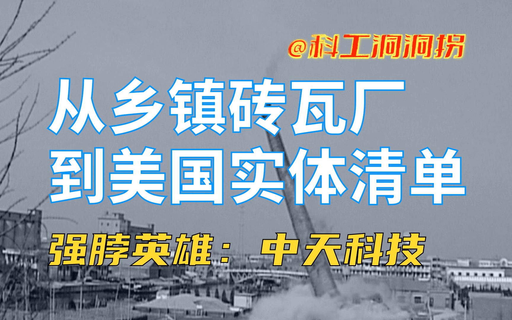 乡镇砖瓦厂起家,专薅皇冠明珠.进了美国实体清单,利润反大增!哔哩哔哩bilibili