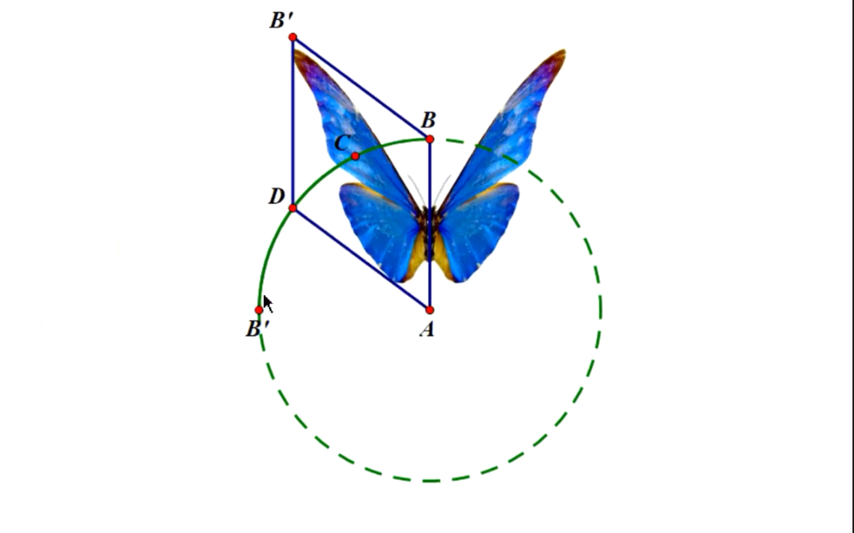 几何画板图形翻折动画图片