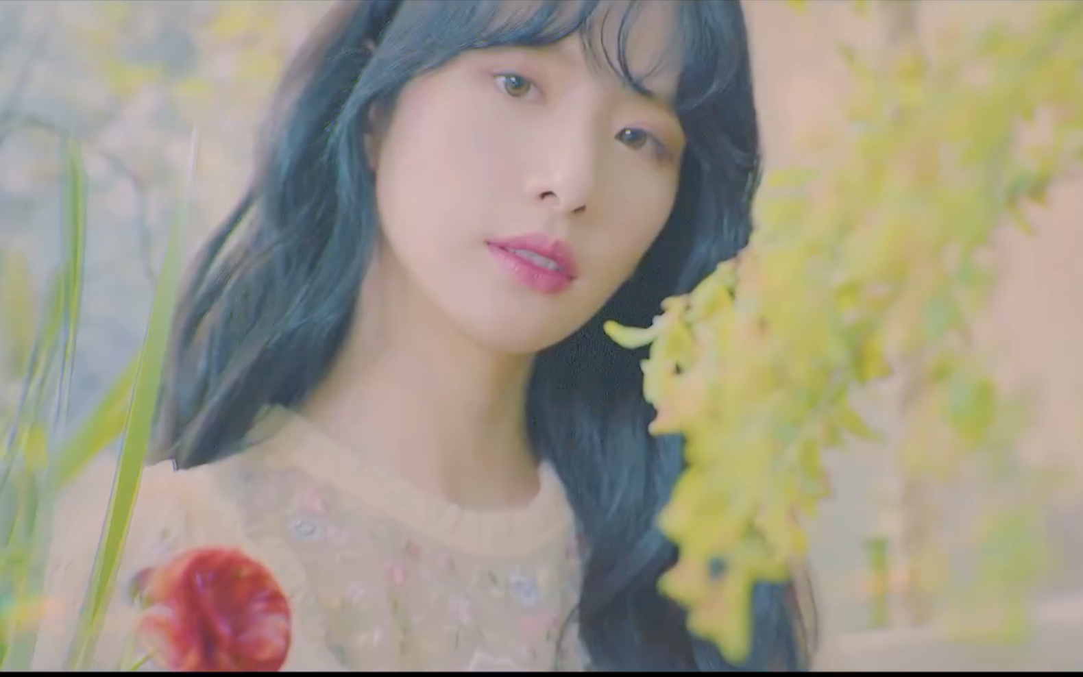 宇宙少女新专辑《neverland》预告视频公开,清新甜美的小仙女们